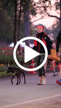 BIB:  <button type="button" onclick="openModal(27592903)" class="btn btn-primary btn-sm float-right" data-toggle="modal" data-target=".modal-high-quality">
                <i class="fa fa-download"></i> Download
                </button>